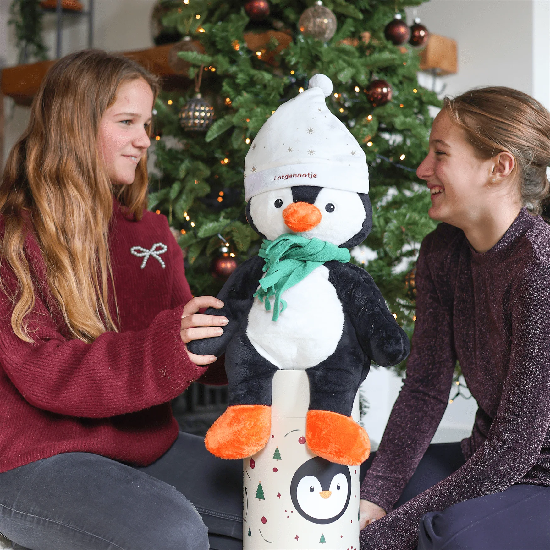 Lotgenootje Kerstmuts - Image 20