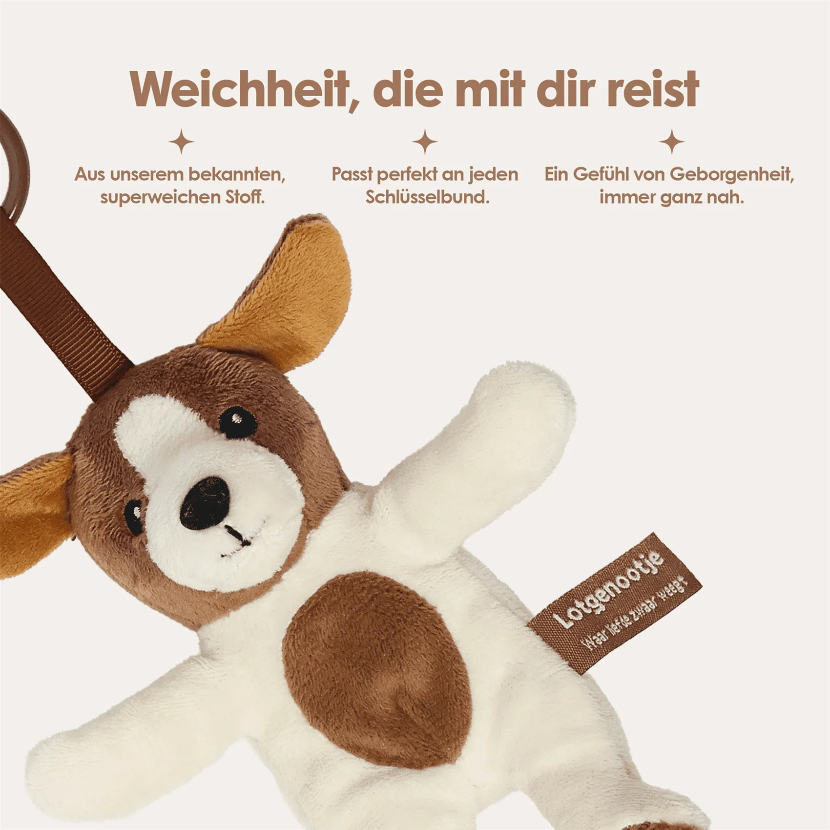 Reisgenootje Tashanger Hond - Image 12