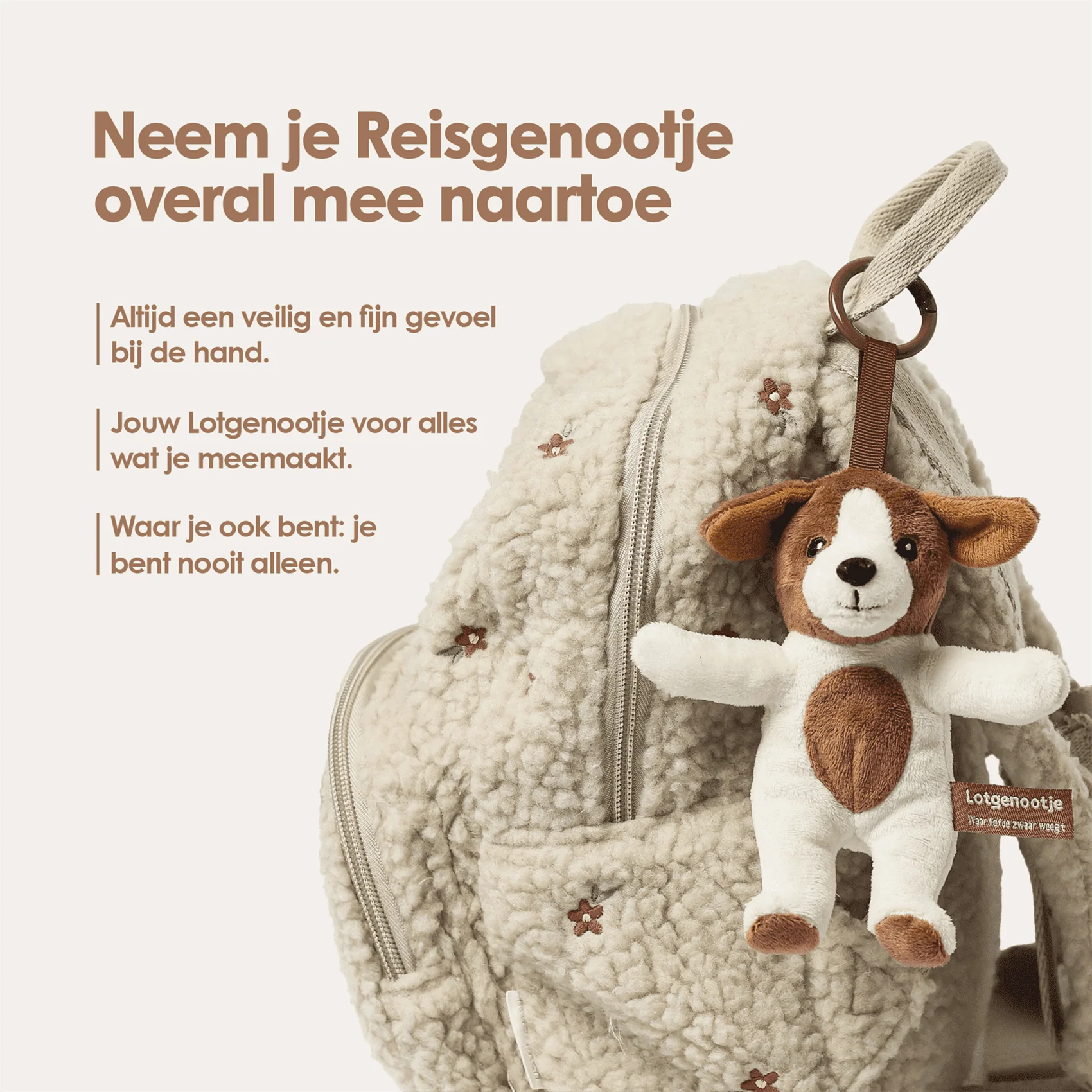 Reisgenootje Tashanger Hond - Image 3