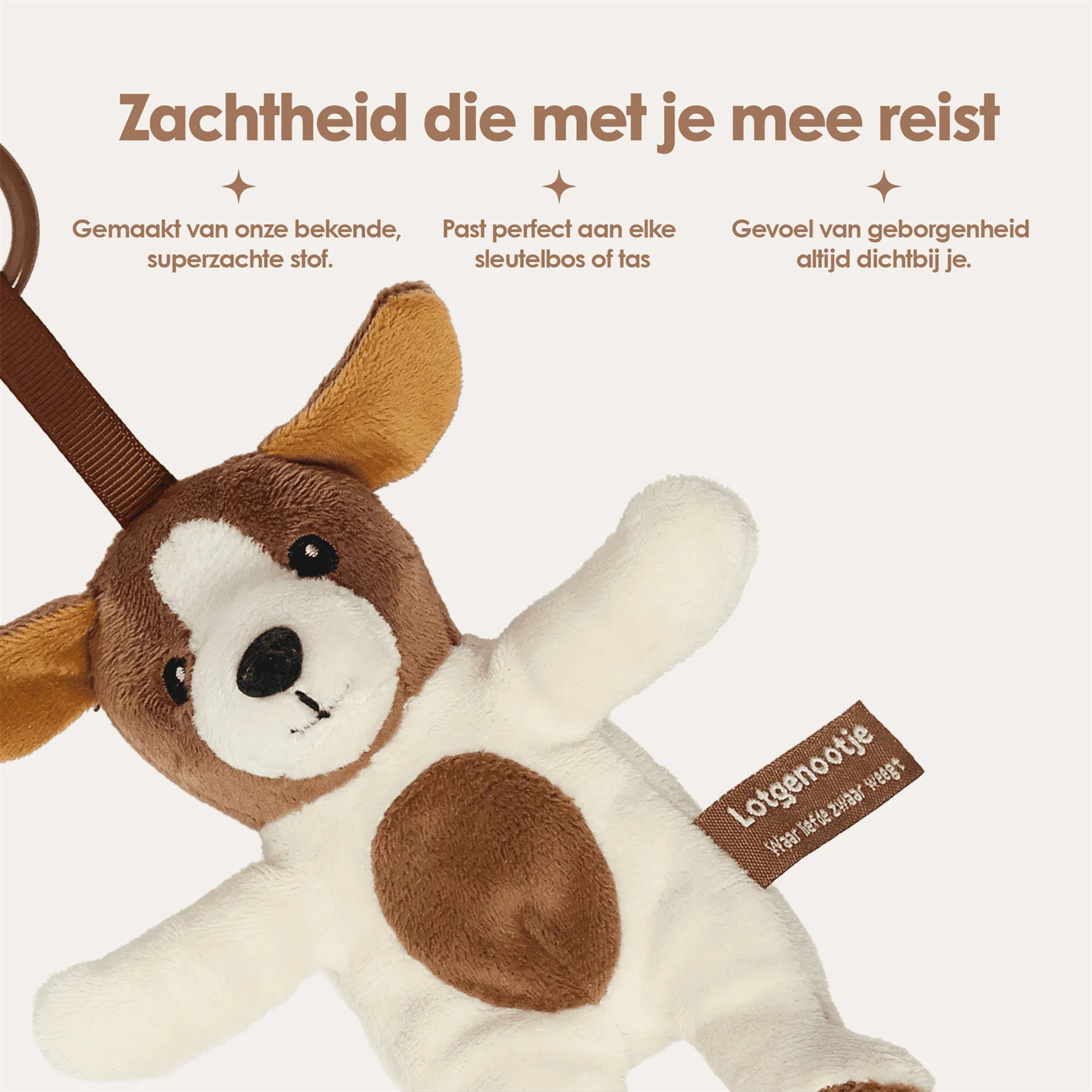 Reisgenootje Tashanger Hond - Image 5