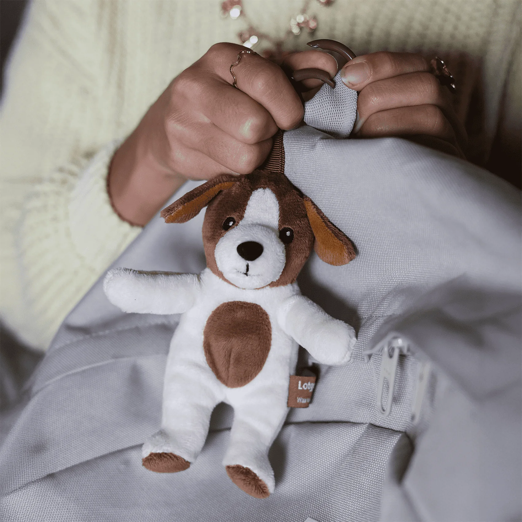 Reisgenootje Tashanger Hond - Image 6