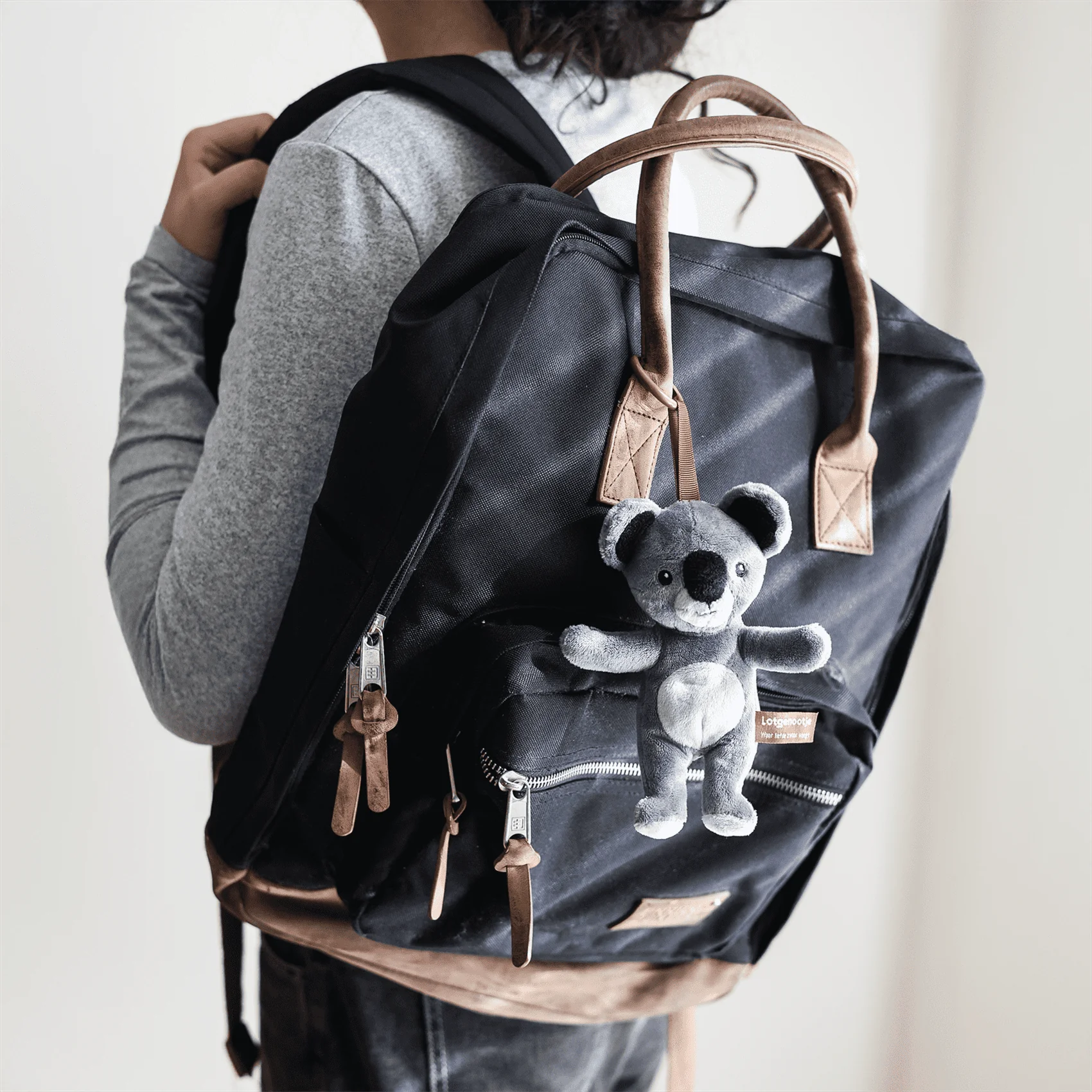 Reisgenootje Tashanger Koala - Image 18