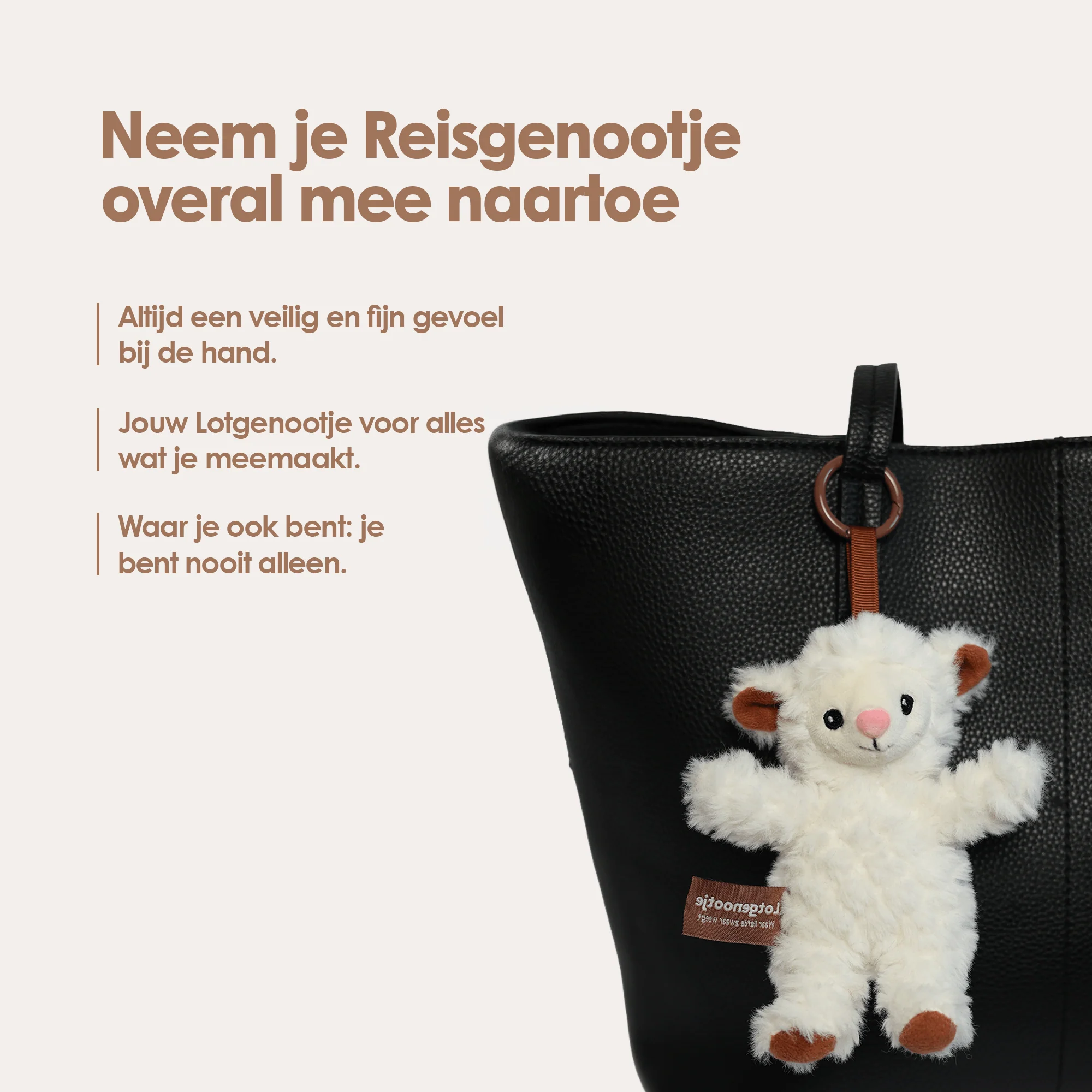 Reisgenootje Tashanger Schaap - Image 3