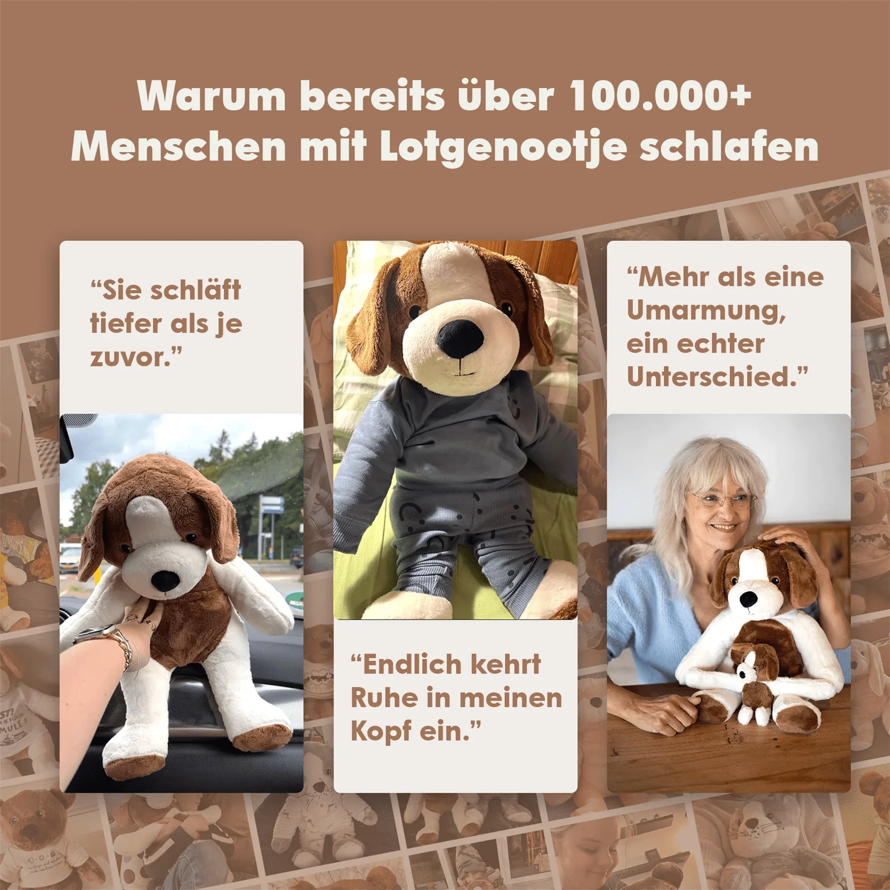 Lotgenootje Hond 2kg - Image 16