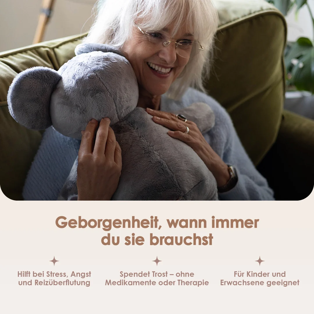 Lotgenootje Koala 2kg - Image 6