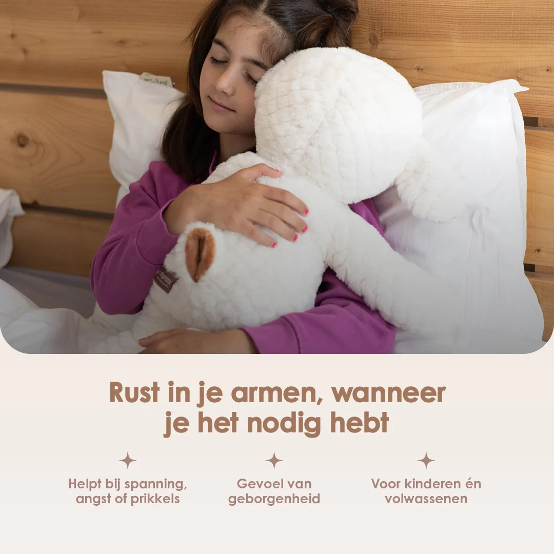 Lotgenootje Schaap 2kg - Image 4