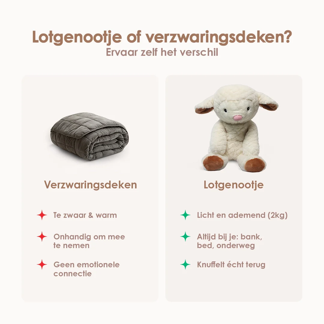 Lotgenootje Schaap 2kg - Image 5